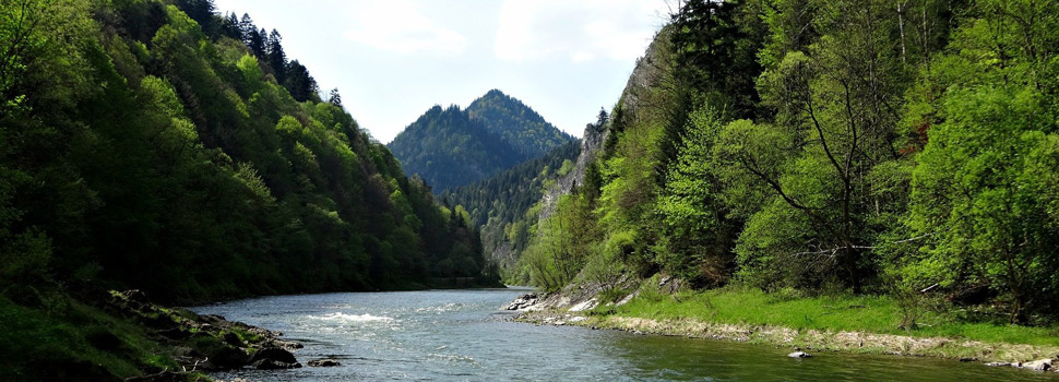 domki w górach Pieniny